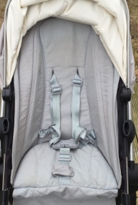 Mouldy Joolz Day Pushchair after professional clean