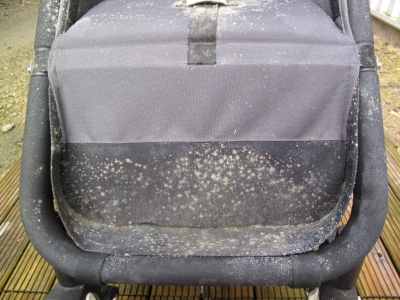 Mouldy Bugaboo Cameleon Before