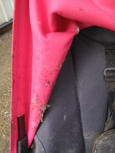 Mouldy Bugaboo Cameleon Before