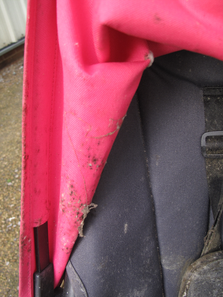 Mouldy Bugaboo Cameleon Before