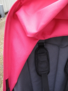 Bugaboo Cameleon (after safe mould treatment & steam clean)