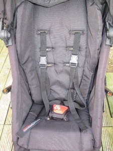 Phil&Teds Explorer Seat After (steam cleaned & treated)
