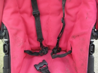 Grubby Bugaboo Cameleon Before