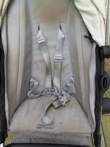 Mouldy Joolz Day Pushchair before professional clean