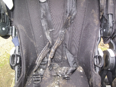 Mouldy Bugaboo harness straps before