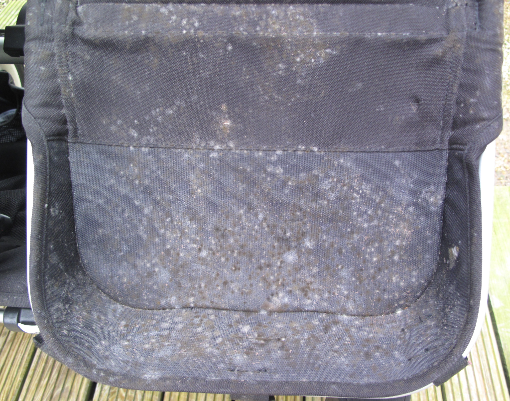 Mouldy Bugaboo pushchair before clean